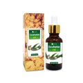 Eucalyptus (Eucalyptus Globulus) 100% Rein & Natürlich Ätherisches Öl -