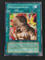 METAMORFOSI (Metamorphosis) Comune Pgd 090 Yu-Gi-Oh! Goat Format Inglese 