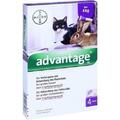 ADVANTAGE 80 mg f.gr.Katzen u.gr.Zierkaninchen 4X0.8 ml PZN 9670104