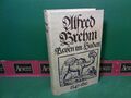 Reisen im Sudan 1847-1852. Brehm, Alfred Edmund: