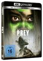 Prey UHD BD, Amber Midthunder