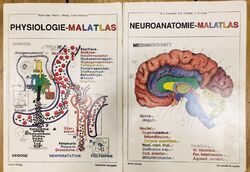 Malatlas NEUROANATOMIE- und Physiologie - Arcis Verlag