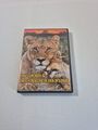 Frei geboren  Drei Strolche in der Wildnis von James H. ... | DVD | Zustand gut