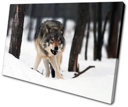 Animals White Wolf Wild SINGLE Leinwand Wand Kunst Bild drucken