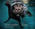 Unterwasserhunde von Casteel, Seth. Taschenbuch. 147221174X. Gut