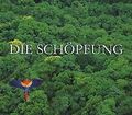 Die Schöpfung von Bruno Weil | CD | Zustand gut