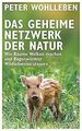 Das geheime Netzwerk der Natur: Wie Bäume Wolken ma... | Buch | Zustand sehr gut