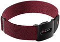 Polar Verity Sense OHR Dark Red M-XXL Pulssensor Dunkelrot Pulsmesser Fitnessuhr