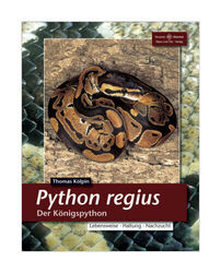 Python regius von Thomas Kölpin