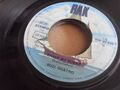 Suzi Quatro -The Wild One / Shake My Sugar- 7" 45 RAK