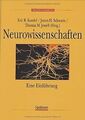 Neurowissenschaften: Eine Einführung von Kandel, Eric, S... | Buch | Zustand gut