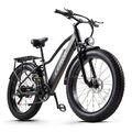 26 Zoll Elektrofahrrad 48V 20AH EBIKE Herren/Damen Trekking Mountainbike 25km/h