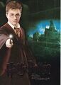 Harry Potter and the Order of the Phoenix Trading Card Set (90 Cards)