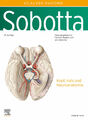 Sobotta, Atlas der Anatomie des Menschen Band 3 | Kopf, Hals und Neuroanatomie