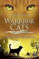 Warrior Cats - Special Adventure.Gelbzahns Geheimnis von... | Buch | Zustand gut