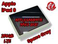 Apple iPad 9 th Generation (2021) 256GB LTE Cellular 10,2  + Applegarantie 03.25