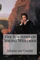 Die Leiden des jungen Werther von J.W. Von Goethe (englisch) Taschenbuch Buch