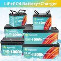 12V 24V 50Ah/100Ah/150Ah/200Ah/300Ah LiFePO4 Lithium Batterie BMS Akku+Ladegerät