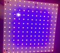 LED Zimmerpflanzenleuchte 225 LED gut für Setzlinge