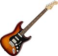 Fender Player Stratocaster HSS Plus Top E-Gitarre, Pau Ferro