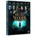 Into The Woods [Dvd Usato]