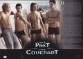 Der Pakt - The Covenant - 8 Aushangfotos - Lobby Cards - Steven Strait