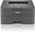 Brother EcoPro HL-L2400DWE einfabrig Laser-Drucker - Anthrazit (HLL2400DWERE1)