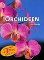 Orchideen. Die schönsten Arten und Hybriden, Auswäh... | Buch | Zustand sehr gut