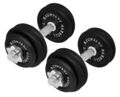 Guss Kurzhantel-Set 30 kg (2x15) Hantelscheiben Hantelset