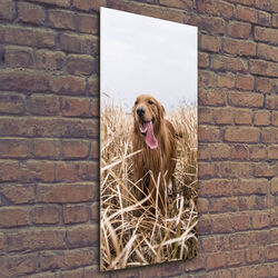 Wandbild Kunst-Druck auf Hart-Glas hochkant 50x125 Hund Golden retriever