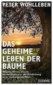 Das geheime Leben der Bäume: Was sie fühlen, wie si... | Buch | Zustand sehr gut