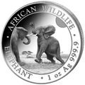 Elefant Elephant Silbermünze Somalia 2024  1 Oz Silber 999.9  African Wildlife