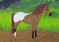 Roblox Wild Horse Islands 🤎 IUH Leafy Snowcap Appaloosa 🤎 Island Unique Hair