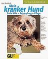 Mein kranker Hund von Streitferdt, Uwe, Metzger, Christine | Buch | Zustand gut