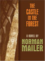 Das Schloß IN The Forest : ein Roman Hardcover Norman Versand