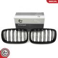 ESEN SKV 66SKV288 Kühlergrill Frontgrill für BMW X5 (E70) Schwarz-Matt