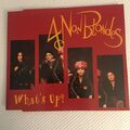 4 Non Blondes - What's Up ? *  4 Track Maxi CD aus 1993 *