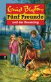 Fünf Freunde und der Hexenring (Einzelbände, Band 53) von Enid Blyton