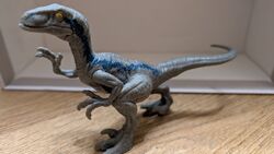 schöne Velocirapator Blue Jurassic World Dinosaurier