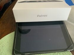 Apple iPad mini 2 32GB, WLAN , 20,07 cm, (7,9 Zoll) 