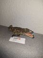 Schleich Tier Alligator 