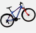 Bulls Sharptail Street 1 ATB Mountainbike 26“ 56 cm RH Herren, Training Top