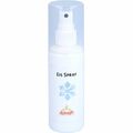 EISSPRAY 100 ml PZN11018836