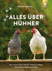 Alles über Hühner | Hervé Husson | 2022 | deutsch