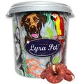 5 kg Kauringe mit Entenbruststreifen Kausnack Hund Rind Lyra Pet® in 30 L Tonne