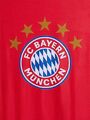 FC Bayern München Kuscheldecke