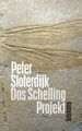 Das Schelling-Projekt : Bericht. Peter Sloterdijk / Suhrkamp Taschenbuch ; 4836 