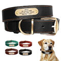 Personalisiert Hundehalsband mit Namen Gravur Weiches Leder Hundehalsband XXS-XL