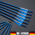 12x Bogenschießen 30“ Carbonpfeile SPINE500 für Compound Recurve Bogen Jagd Ziel