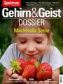 Gehirn & Geist Dossier - Machtvolle Sinne Wie sie unser Leben bestimmen Buch